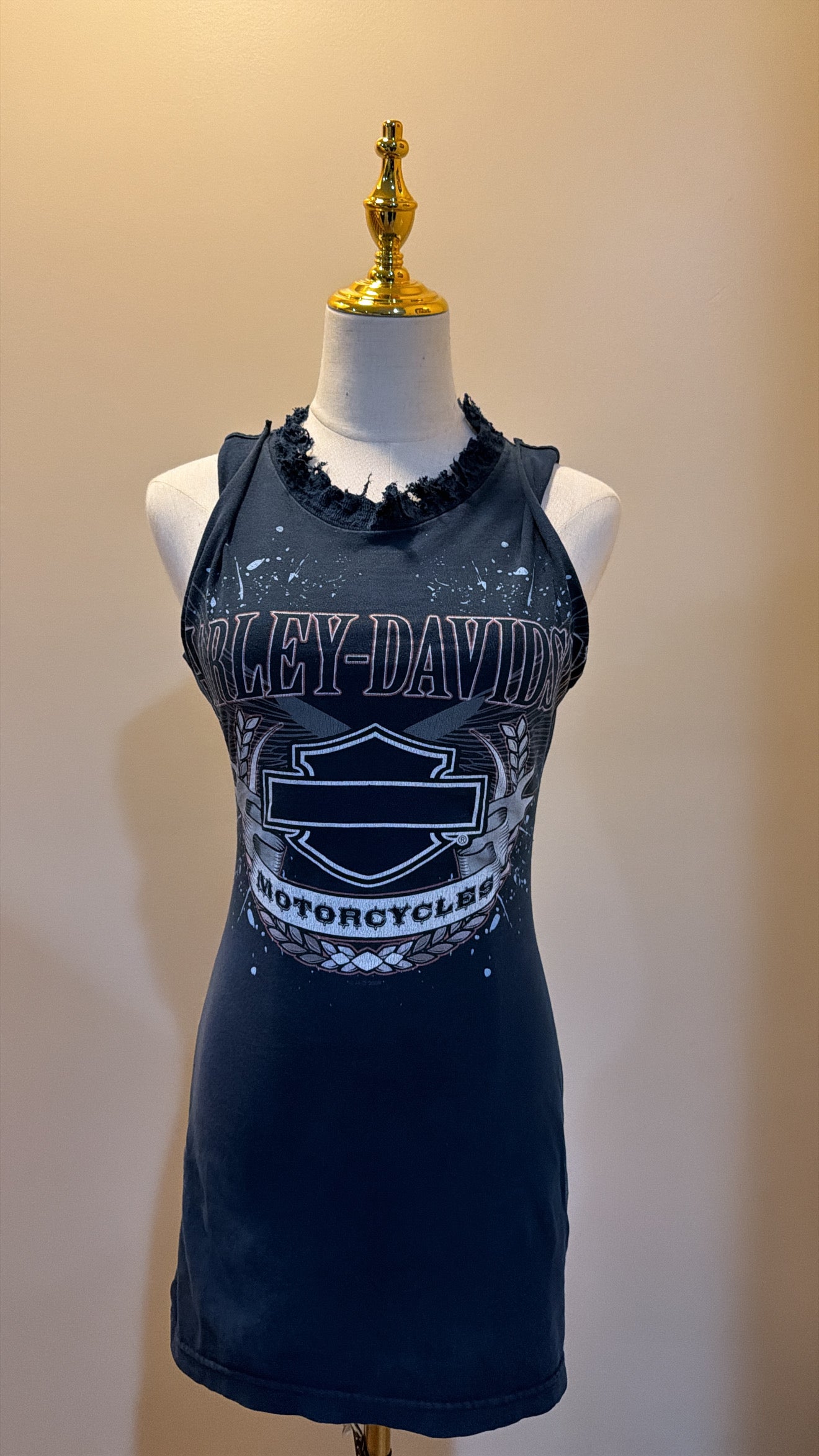 Smoky Mountain Harley