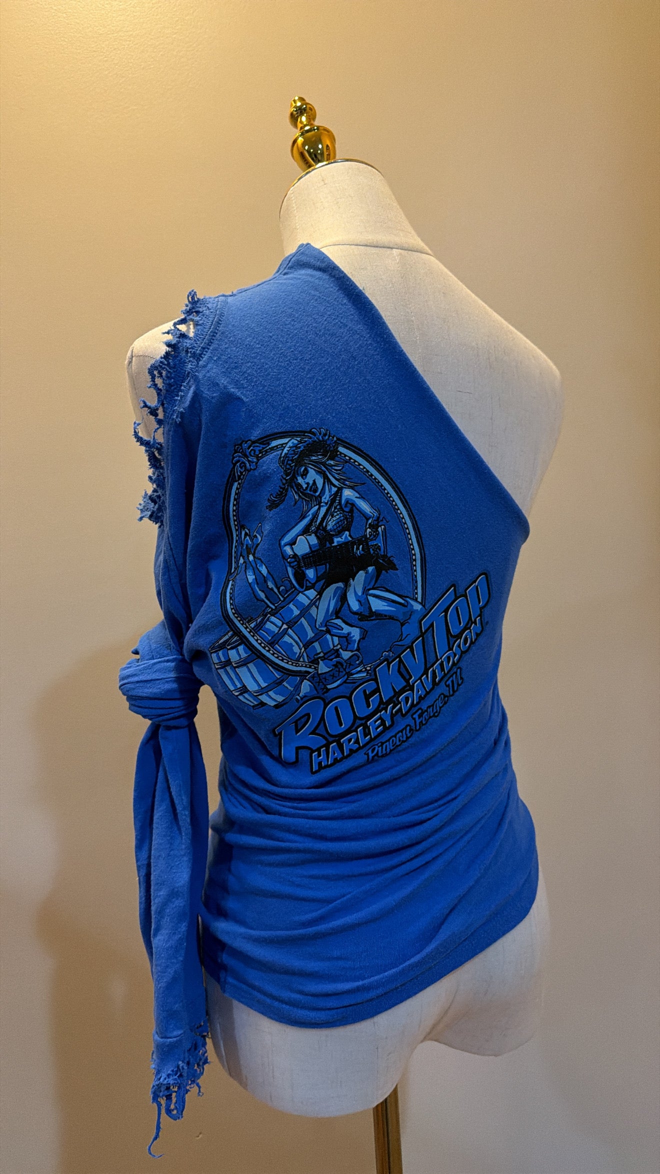 Electric Blue Harley